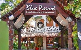 Blue Parrot Suites Playa Del Carmen 4*