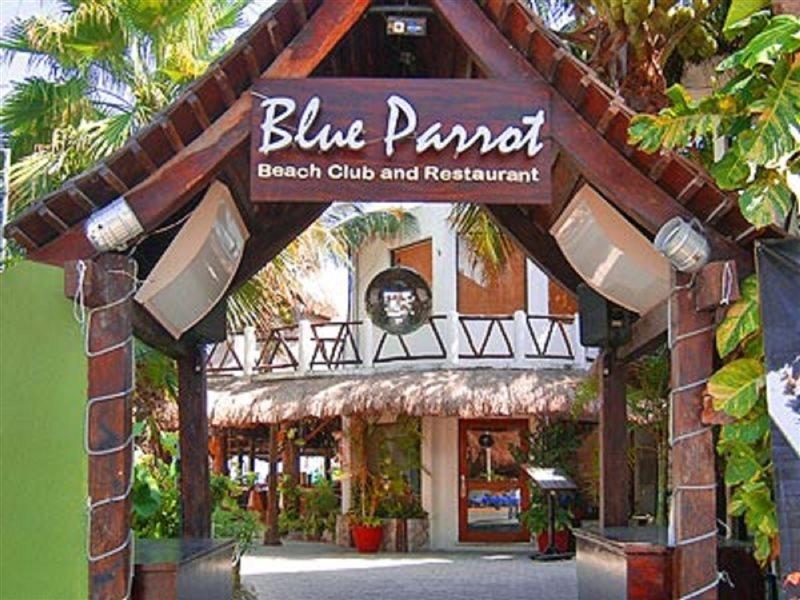 Blue Parrot Suites Playa del Carmen Exterior photo