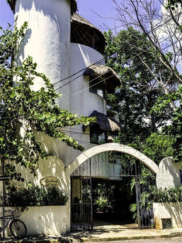 Blue Parrot Suites Playa del Carmen Exterior photo